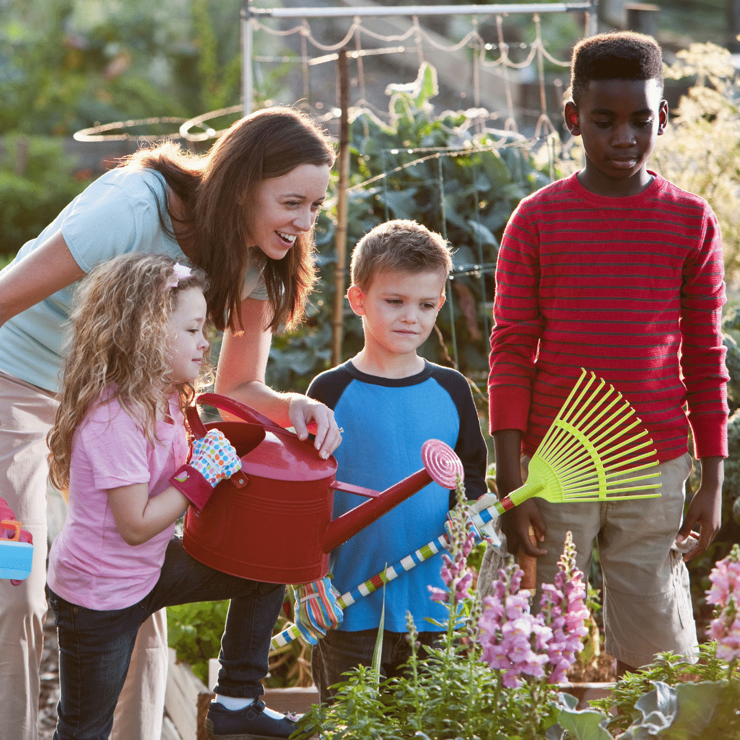 Learning by Doing - Little Bridge